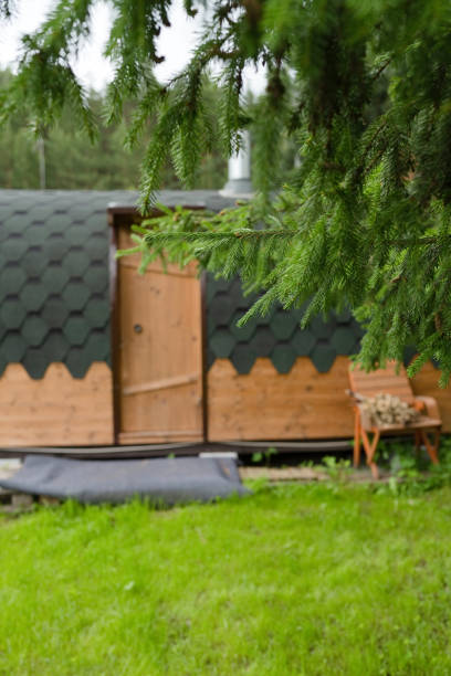 istock A house by a pine tree, with green grass in summer 1413035329