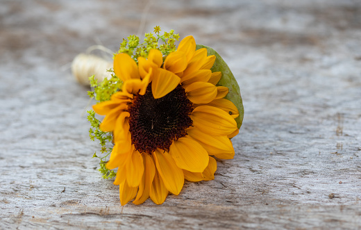 Close up of sunflower wedding boutonnier