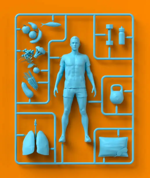 Model kit for health and fitness