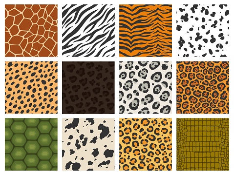 Animal print. Reptile and mammal texture collection, tiger leopard zebra skin camouflage printing, animal fur pattern. Vector seamless fashion set of background seamless texture reptile illustration
