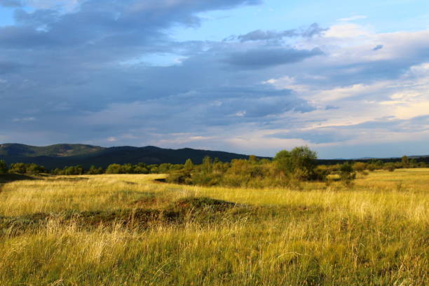 istock Steppe under Blue Sky and sun and fluffy clouds 1413040853