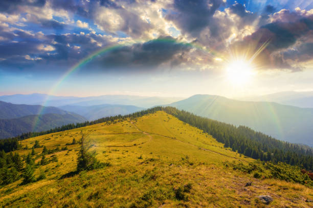 istock green nature environment of trascarpathia at sunset 1413042177