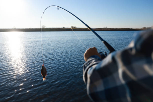 Fisherman catching fish with rod at riverside, closeup stock photo