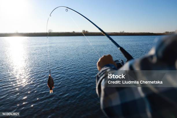 Fisherman Catching Fish With Rod At Riverside Closeup Stock Photo - Download Image Now