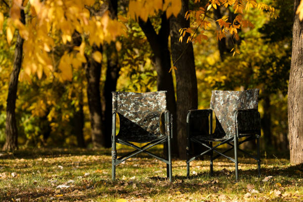 Pair of camping chairs in park on sunny day