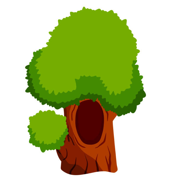 drzewo z zagłębieniem. drewno z otworem. brązowa kora rośliny i zielonych liści. gniazdo zwierząt leśnych. - tree hole bark brown stock illustrations