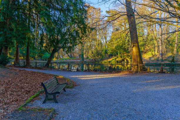 istock Pond, bench an trees, in the Monza Park 1413045581