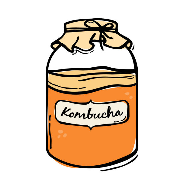 Kombucha fermented tea vector Kombucha tea hand drawn vector bottle illustration. Healthy fermented probiotic tea drink. kombucha jar stock illustrations