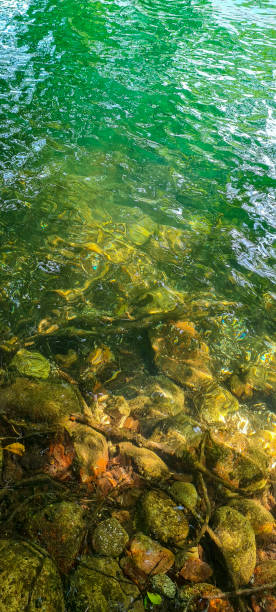 istock Stones in a cold natural lake with green water and trees - underwater waves 1413047083