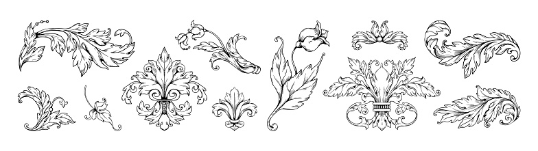 Baroque arabesque floral ornaments. Rococo acanthus curl scrollwork. Engraved Victorian flourish. Tulip flower and decorative leaves isolated elements. Filigree botanical motif. Vector classic set