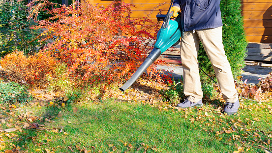 A gardener uses a blower to remove fallen leaves and clean the house area during the autumn season. A jet of air from a blower cleans the lawn from fallen leaves. Work on cleaning leaves in the garden