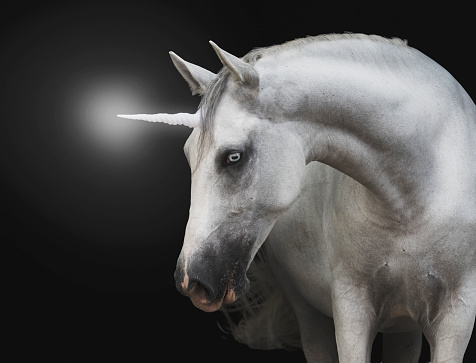 White unicorn with blue eyes on a black background, shiny horn