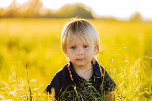 Cute little boy standing on green grassy rural field during sunny summer day