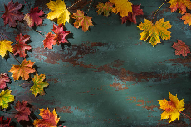 istock Autumn maple tree leaves arrangement leaving copy space on green background 1413051918