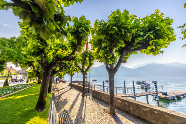 Trees growing in public park by lake at famous town against sky during sunny day