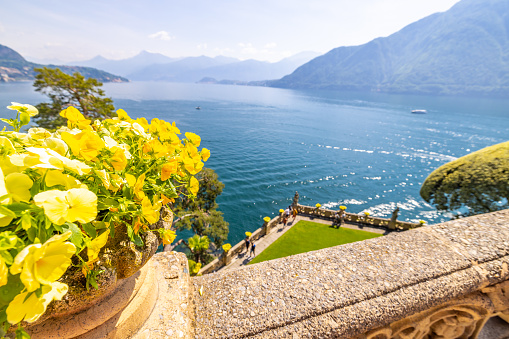 Yellow flower pot decorated on railing in public park against lake and mountains during sunny day