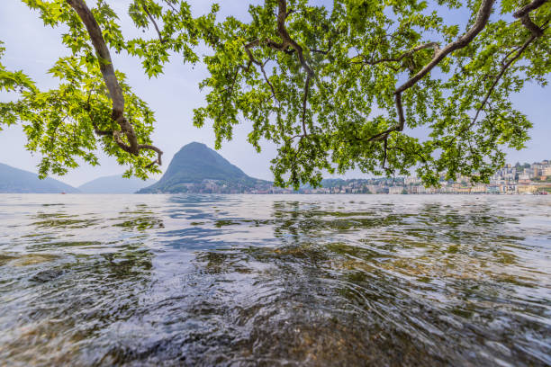 View of tree branches hanging over lake against mountains and old town