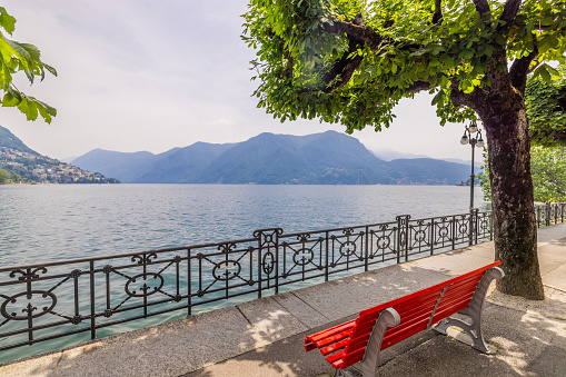 Trees growing by bench in public park by lake Lugano and mountains against cloudy sky