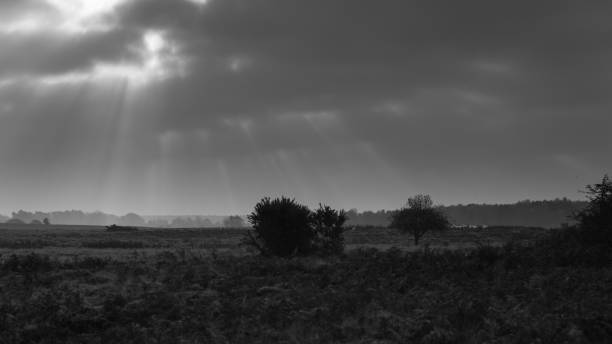 istock Heathland mono landscape with crepuscular rays. 1413055813