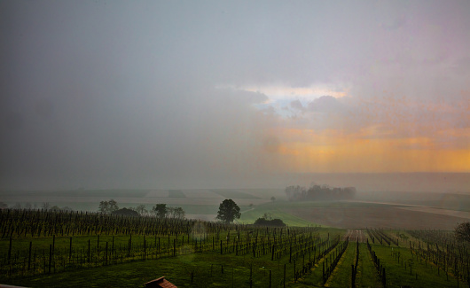 View of dramatic sky over vineyard with rural landscape during stormy weather