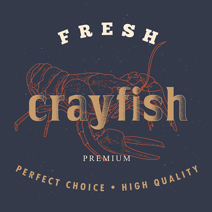 Crayfish logo template on a dark background. Retro label for the menu of fish restaurants, markets and shops. Vintage vector illustration crayfish in the style of an old engraving.