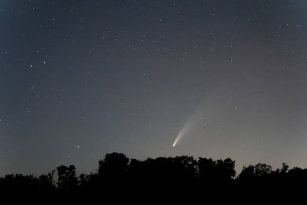 istock Scenic view of starry sky over silhouette trees in forest at night 1413058106