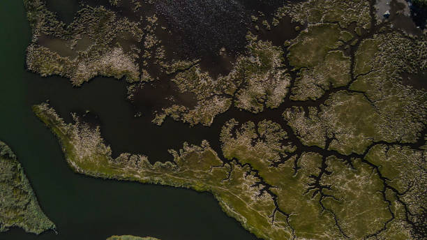 Dalyan Delta, village of Dalyan in Turkey, iztuzu beach Mugla Province, aerial view of lake and reeds, aerial view of lake and reeds, Long beach gorgeous mountains reeds field and wavy sea Aerial view of Dalyan delta. Mugla-Turkey river system stock pictures, royalty-free photos & images