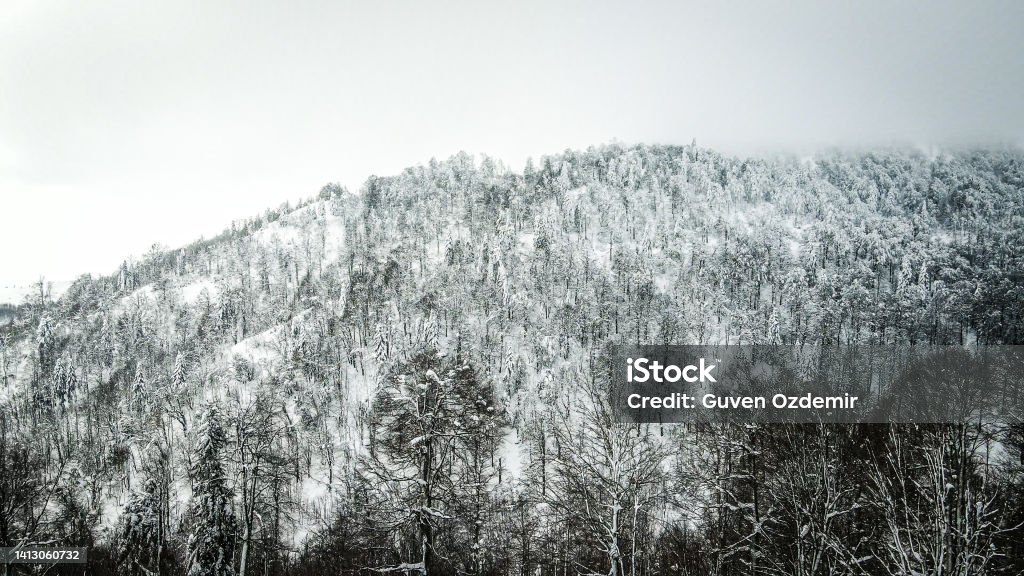 winter in mountain,snow covered pine forest,freezing forest,aerial view of snowy forest and mountain landscape, peak of snowy mountain, snowy pine trees Aerial video of the pine forests on the snowy mountain peak in Sakarya in 2022. 4K Resolution Stock Photo