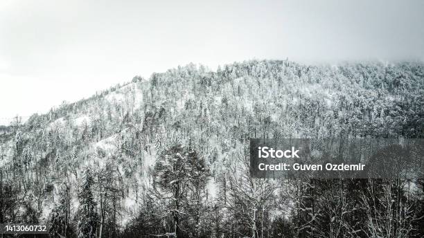 Winter In Mountain Snow Covered Pine Forest Freezing Forest Aerial View Of Snowy Forest And Mountain Landscape Peak Of Snowy Mountain Snowy Pine Trees Stock Photo - Download Image Now