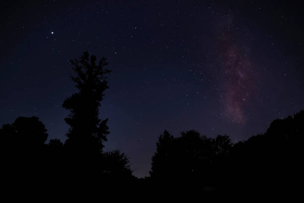 istock Milky Way and stars over a forest 1413060844