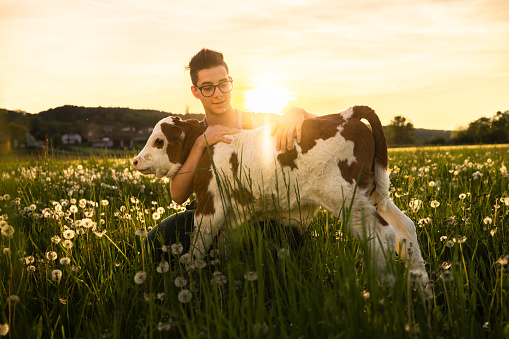 Young farmer embracing little calf on grass field