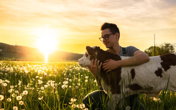 Farmer embracing calf on grass field