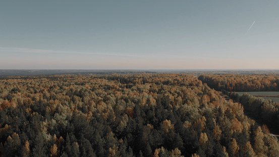 Road between yellow and green autumn forest and fields in Ural, Russia. Beautiful autumn nature landscape at during daytime. Aerial view from a drone