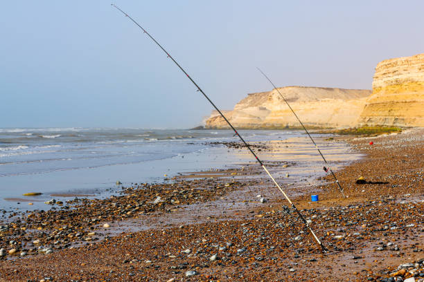 le siège, le porte-hameçon et le manche d’une canne à pêche - catch of fish photos photos et images de collection