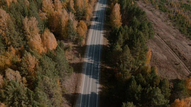 ウラルのカラフルな秋の森の間を移動する道路と車 - country road trucking car yellow ストックフォトと画像