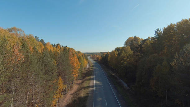 istock FPV drone high-speed flight along the road and autumn forest in Ural 1413063022