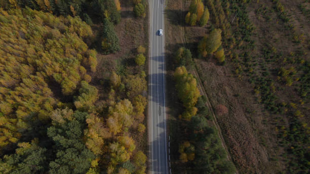 ウラルのカラフルな秋の森の間を移動する道路と車 - country road trucking car yellow ストックフォトと画像