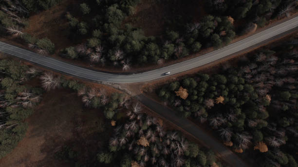 istock Closeup curve road with cars between deep green forest in Ural 1413065504