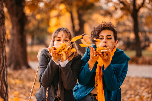 Two beautiful young female friends playing with autumn leaves in the park during autumn.