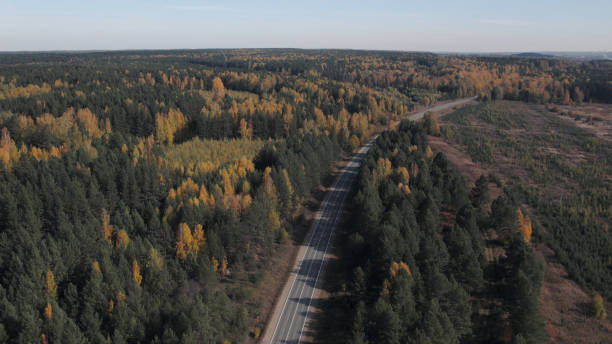 ウラルのカラフルな秋の森の間を移動する道路と車 - country road trucking car yellow ストックフォトと画像