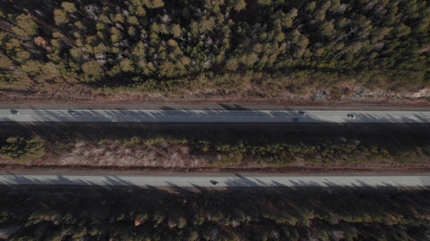carros de trânsito em estrada de várias pistas entre florestas profundas - multiple lane highway highway car field - fotografias e filmes do acervo
