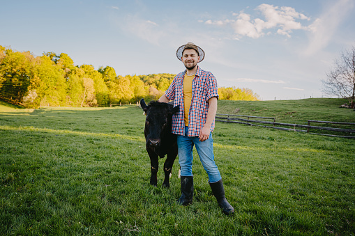 Smiling male farmer in hat standing with black cow in green grassy rural field during summer day