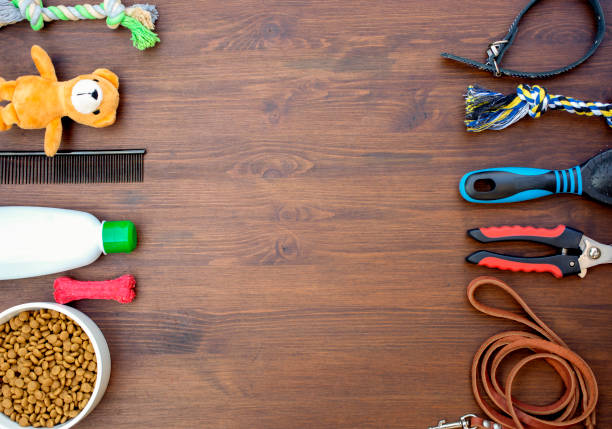 istock Dogs accessories on wooden table. 1413070220