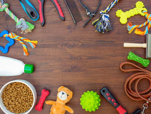 istock Set of pets care accessories. 1413070224