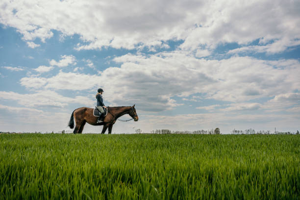 istock Woman doing horseback riding on grassy field against cloudy sky 1413071004