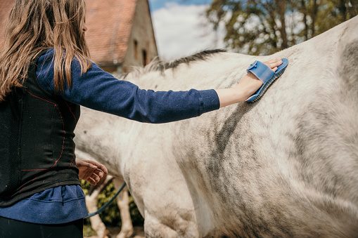 Teenage girl with brown hair grooming her horse with brush in equestrian club