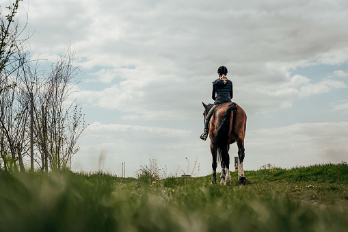 Rear view of woman riding horse on grassy field against cloudy sky during equestrian event