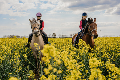 Teenage girls practicing while riding horse amidst oilseed rape farm against cloudy sky