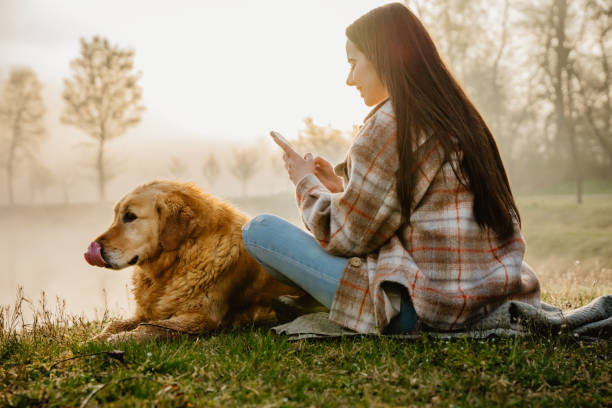 mulher sorridente usando celular enquanto relaxa com cachorro em lakeshore - pets grass scenics dog - fotografias e filmes do acervo