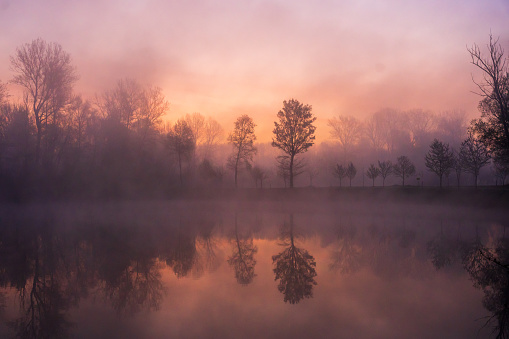 Scenic view of calm lake against trees in forest during foggy weather at dusk